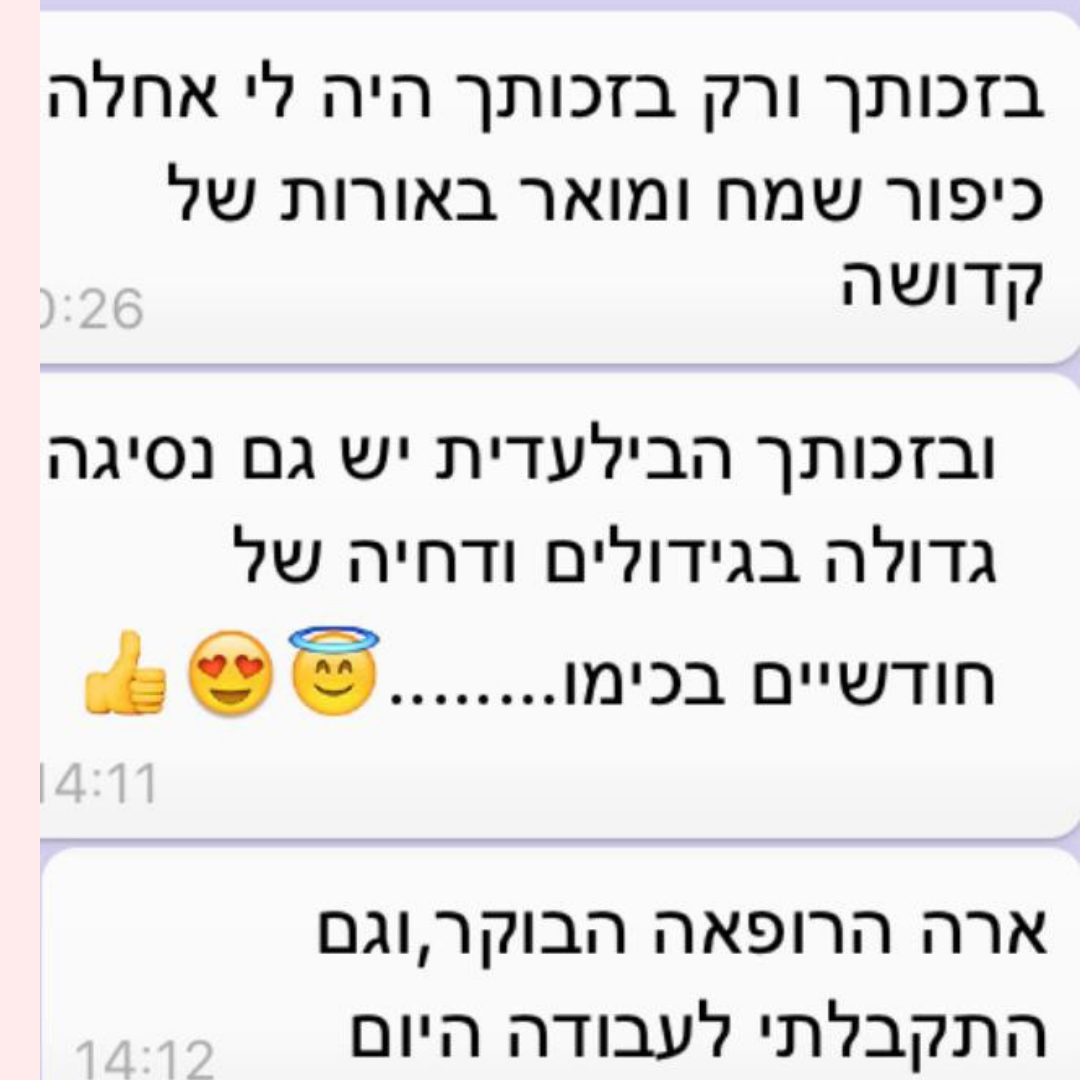 המלצה